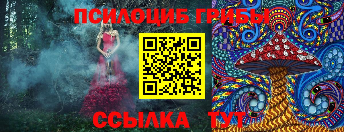 Галлюциногенные грибы Psilocybe  Вход с VPN  Кызыл 