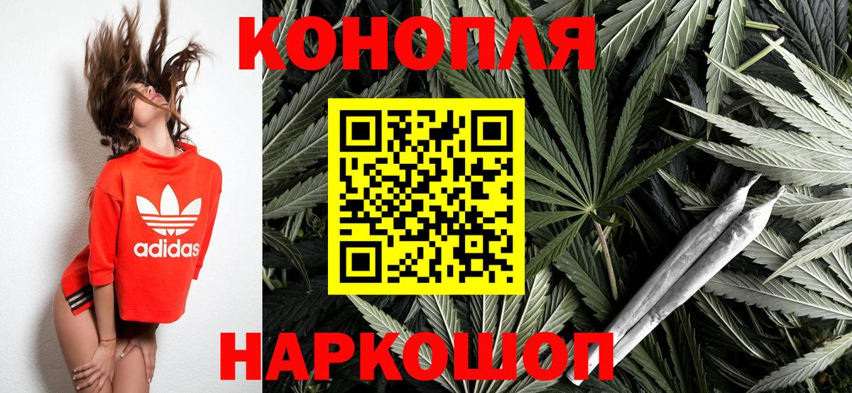Конопля SATIVA & INDICA Кызыл